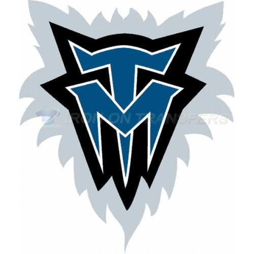 Minnesota Timberwolves Iron-on Stickers (Heat Transfers)NO.1096